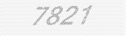 Visual security code — type the characters shown in the image